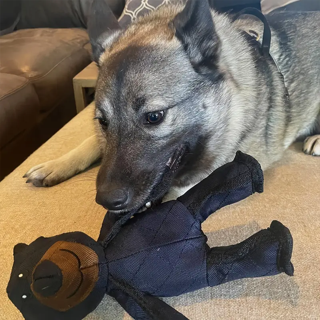 2025 New Mighty Bear Pet Toy For Heavy Chewers