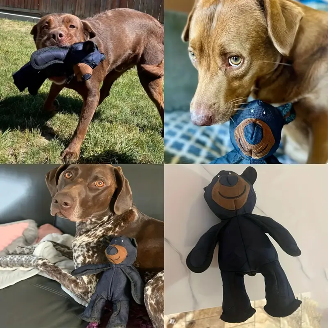 2025 New Mighty Bear Pet Toy For Heavy Chewers